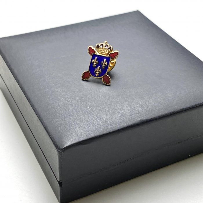 PIN genérico de la HNME - Imagen 2