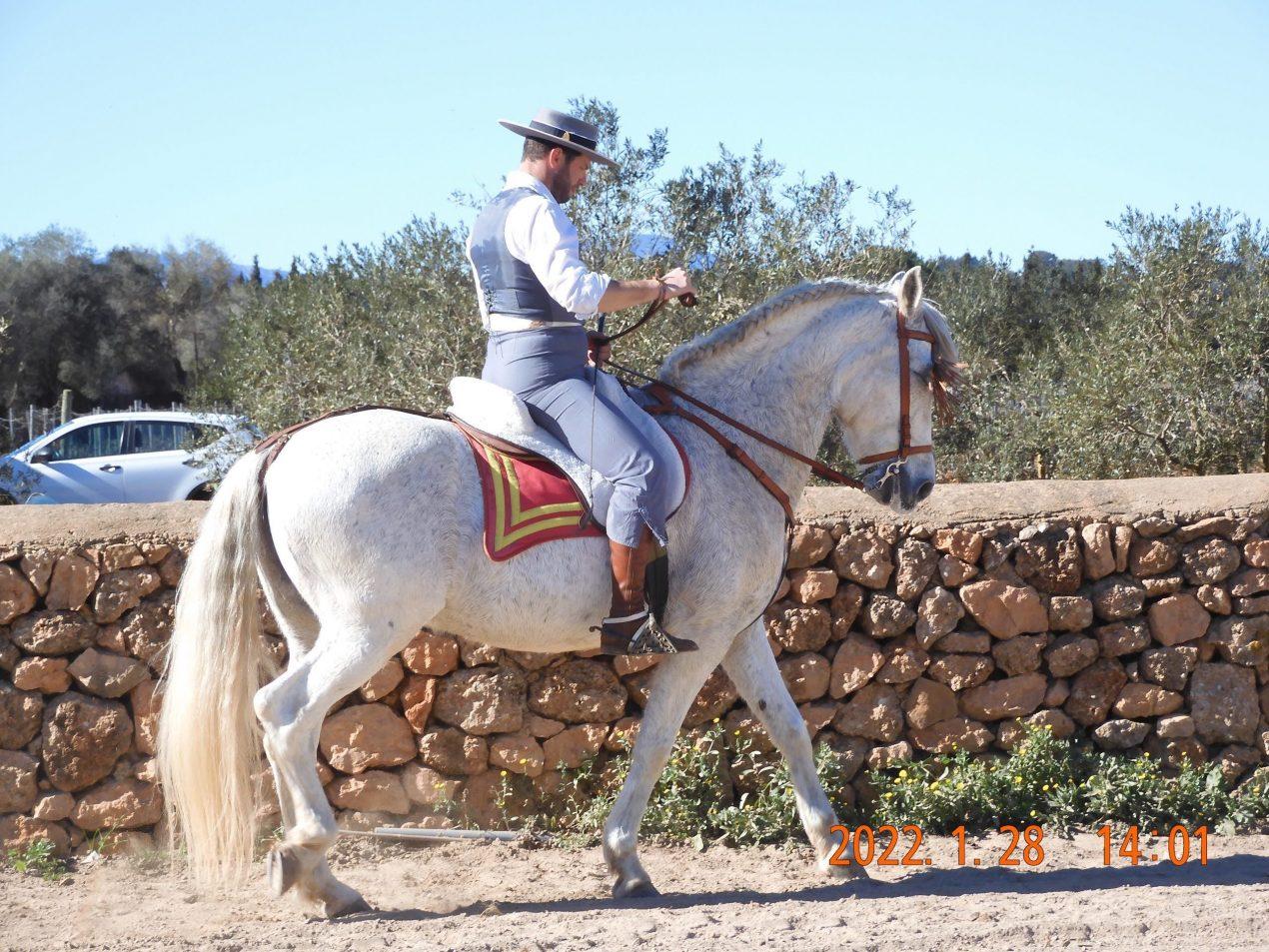 Jornada lúdica en bodegas Ángel